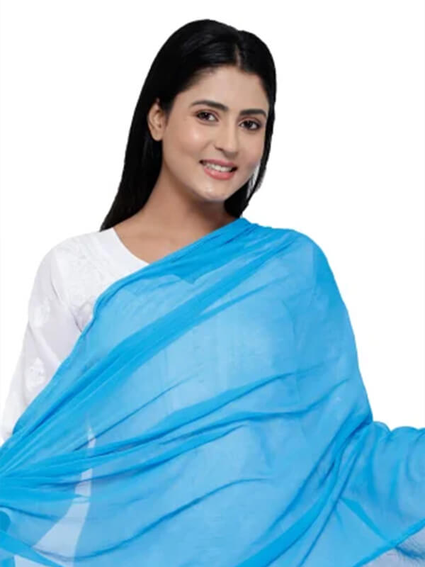 Sky Blue Chiffon Casual Saree
